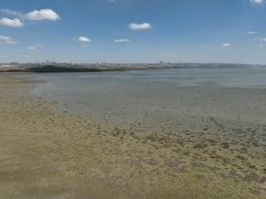 Baraj doluluk oranları açıklandı 4 Mart. İstanbul barajları ne kadar, yüzde kaç dolu?