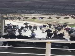 Bayram günü mahalle kavgası: 3 ölü, 22 yaralı