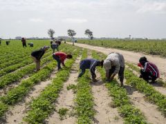 Çocuğunu okula göndermeyene para cezası
