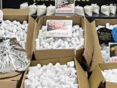 İzmir’de ‘torbacı’lara dağıtılacak 366 bin 400 uyuşturucu hap ele geçirildi