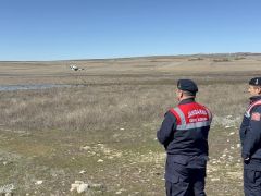 Jandarma flamingo nöbetinde. Drone’la takip ediliyor, 24 saat nöbet tutuluyor