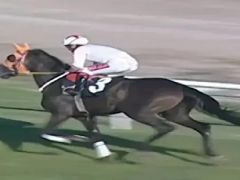 Kavurma yapılan at İngiliz basınında. Sahibi de duruma üzgün