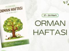 MEB’den Orman Haftası’na özel aktiflik takvimi