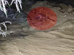 Taşan çayın sularına kapıldı. 4 saatlik operasyonla kurtarıldı