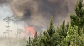 ABD’de orman yangını: 54 konut ve 27 bin dönüm küle döndü