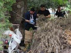 Antalya’da kuşkulu ölüm! Ağaç altında bulundu