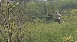 Avcılar’da köpeğine kemerli şiddet uygulayan kişi yakalandı