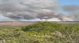 Beykoz’da orman yangını. Havadan müdahaleyle kontrol altına alındı