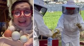 Bir vakitler dizi setinden sinema setine koşuyordu: Tavukların yumurtası, kuzuların tüyü gelir kapısı oldu… Sonunda bal işine de girdi