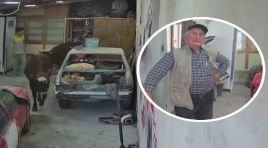 Danalar oto tamirciyi bastı, görgü tanığı: “Nazikçe geldiler, nazikçe gittiler”