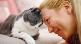 Evcil hayvanlara özel kanal açıldı. 24 saat yayın yapıyor