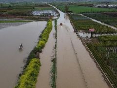 Kuvvetli sağanak sonrası göle döndü. Tarım arazileri ve kara yolunu su bastı