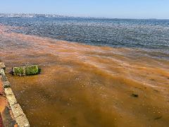 Tekirdağ’da şaşırtan görüntü: Deniz turuncuya döndü