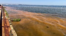 Tekirdağ’da şaşırtan görüntü: Deniz turuncuya döndü