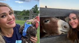 Ünlü müzikçi 400 dönümlük çitliğinde huzuru buldu… ‘Burada yetiştirdiklerim tüm ailemi doyuruyor’