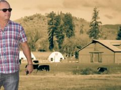 Ünlü oyuncu aradığı huzuru çiftliğinde buldu: 50 tane buzağım var, peşimden ayrılmıyorlar!