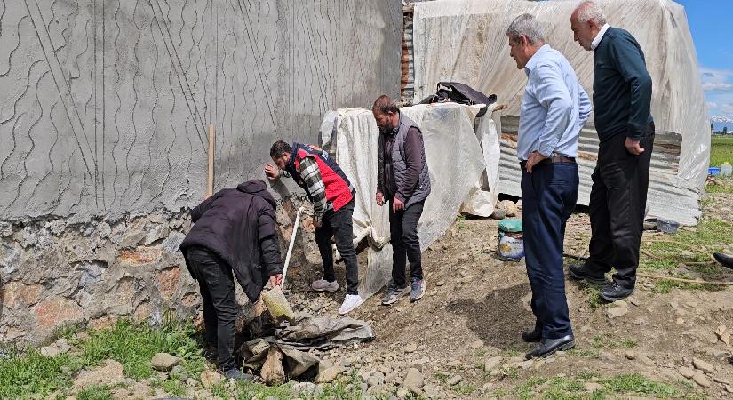 3 metrelik yılan mahalleyi korkuttu: Belediye takımları müdahale etti