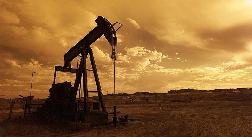 Birleşik Arap Emirlikleri bir başka petrol örgütünden daha ayrıldı