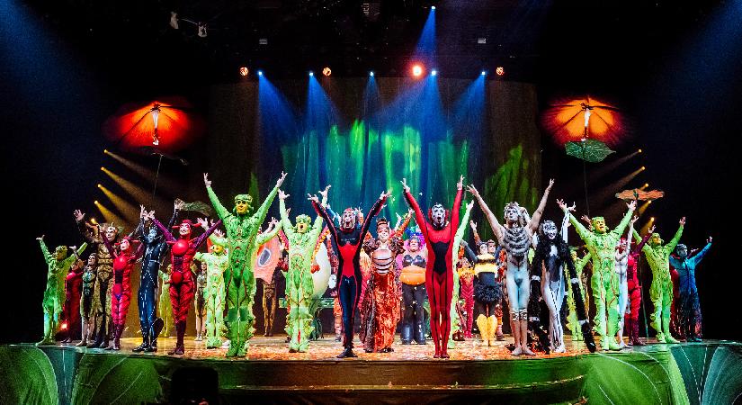 “Cirque du Soleil” İstanbul’da 4 günde 40 bin seyirciye ulaştı