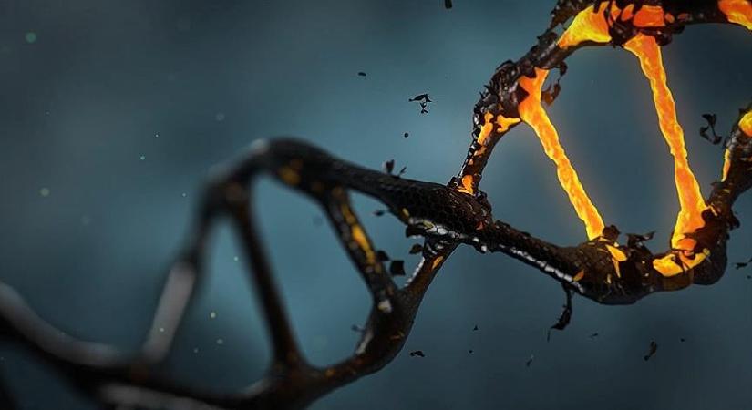 Göğüs kanserinde DNA ihtilali