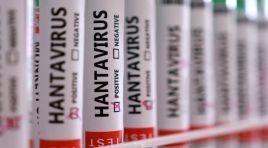 Hantavirüs paniği. Hollandalı kabin memurunun testi negatif çıktı