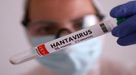 Hantavirüs’ün yayılma nedeni iklim değişikliği mi?