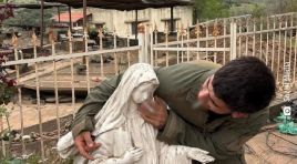 İsrailli askerden Meryem Ana heykeline saygısızlık