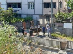 Sokak ortaları, boş yerler ve site önlerinde kaçak kurban kesenlere ceza