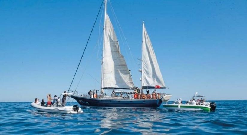 SUMUD Filosu’na müdahale… Girit’te aktivist krizi