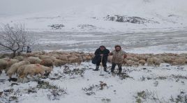 Tipi ve heyelan nedeniyle 2 çoban ve 650 küçükbaş yaylada mahsur kaldı