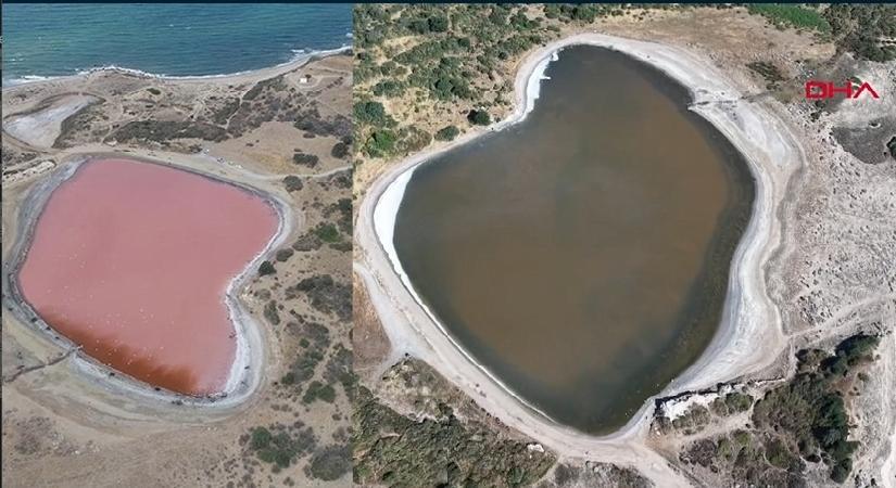 Her yıl pembeye bürünen Kalpli Göl bu yıl renk değiştirmedi! Uzman isim sebebi açıkladı