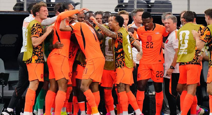 Hollanda 5-1 İsveç (Dünya Kupası F Kümesi maçı özeti)