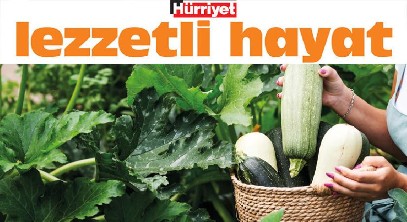 Mutfağın yaz jokeri: Kabak… Her çeşidiyle başka tanım