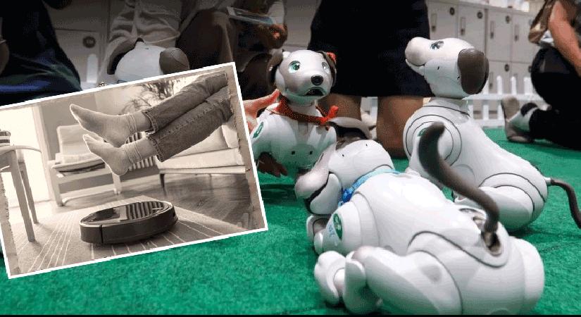 Robot süpürgeler geçmişte kaldı: Yeni asistanlar tehlikeli olabilir