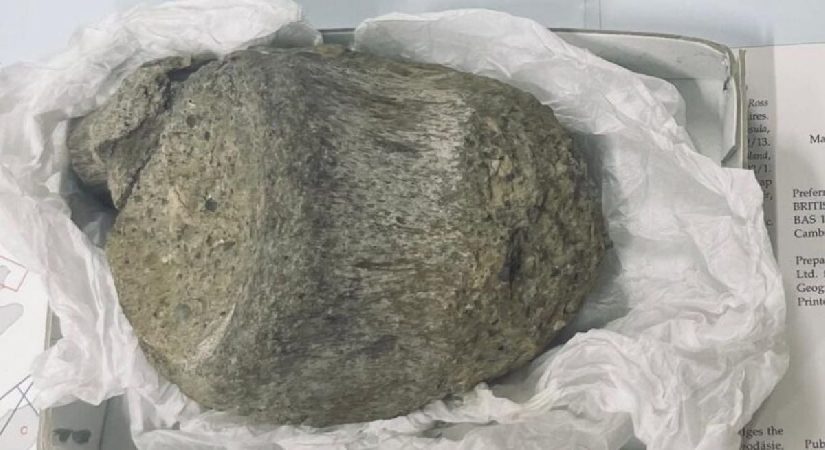 Tam 40 yıl boyunca unutuldu. Antarktika’nın en eski gizemi çekmeceden çıktı
