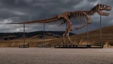 ABD’deki açık artırmada dinozor iskeletine rekor fiyat