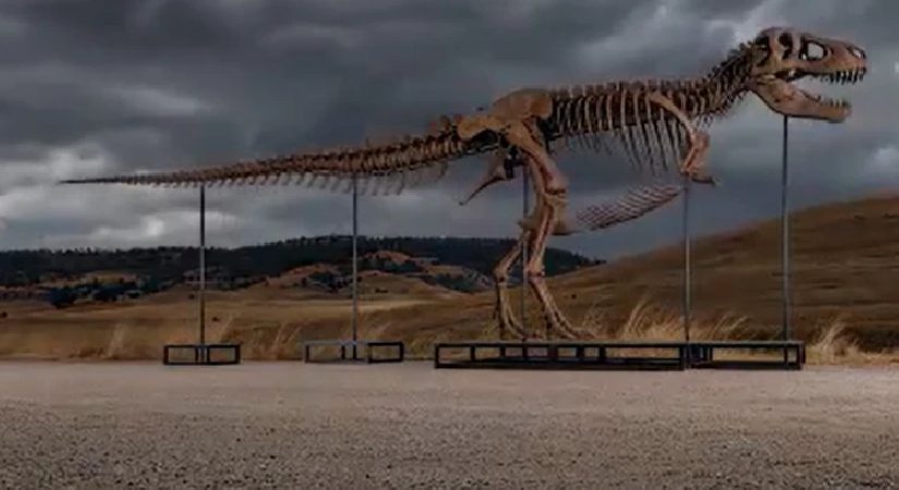 ABD’deki açık artırmada dinozor iskeletine rekor fiyat