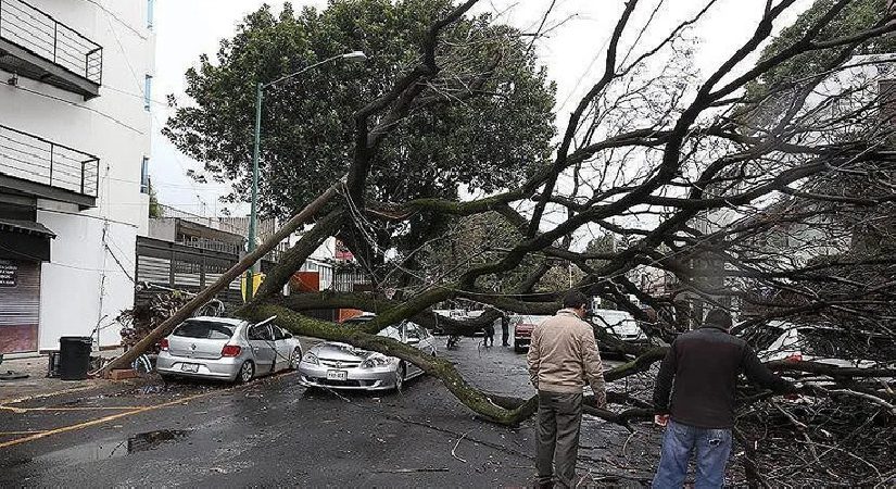 Almanya’da şiddetli fırtına: 1 meyyit, 3 yaralı