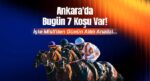 Ankara’da bugün 7 koşu var! İşte Misli’den günün altılı analizi…