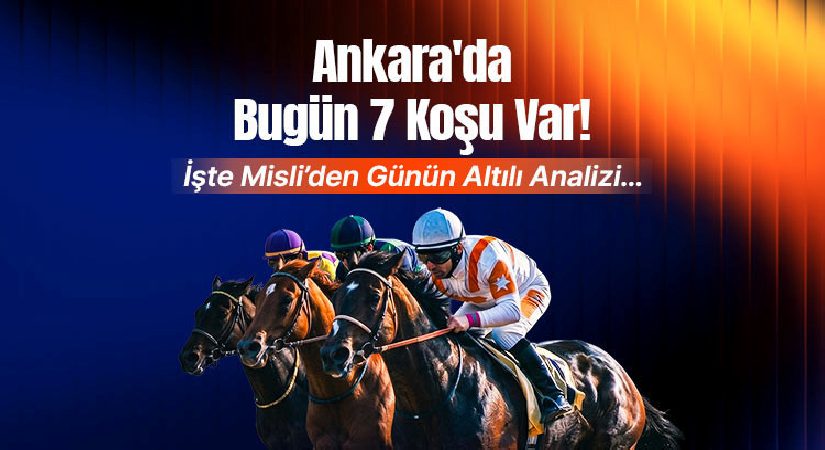 Ankara’da bugün 7 koşu var! İşte Misli’den günün altılı analizi…