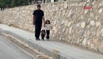 Annesiz kalan kuzuya şefkat eli: Biberonla büyütüyor