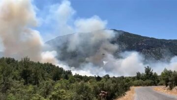 Antalya’da orman yangın: Takımlar müdahale ediyor