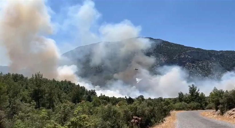 Antalya’da orman yangın: Takımlar müdahale ediyor