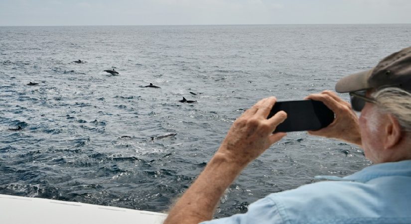 Aşırı sıcaklar deniz canlılarının ömür alanlarını kökten değiştiriyor