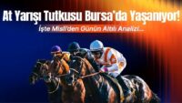 At Yarışı Tutkusu Bursa’da Yaşanıyor! İşte Misli’den Günün Altılı Analizi…
