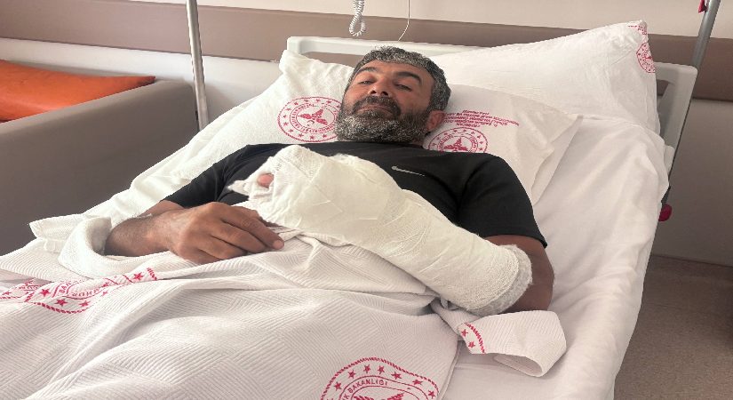 Ayı saldırısından yaralı kurtuldu. “Kürek olmasaydı sonum ne olurdu bilmiyorum”