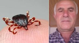 Bedenine yapışan keneyi kendi çıkardı, 4 gün sonra öldü
