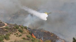 Cezayir’de bir günde çıkan 119 yangından 114’ü söndürüldü