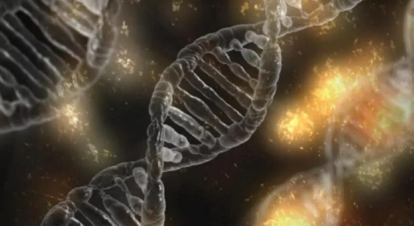 Çin’de çocuk vefatına sebep olan genetik deney tezlerine yönelik araştırma başlatıldı