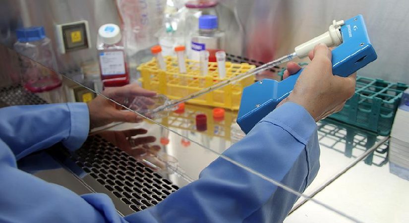DSÖ raporu: Kanser tedavisinde global uçurum derinleşiyor